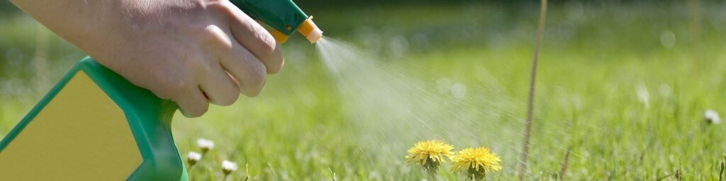 12 Best Weed Killers for Lawns - Just Grass And Nothing Else!