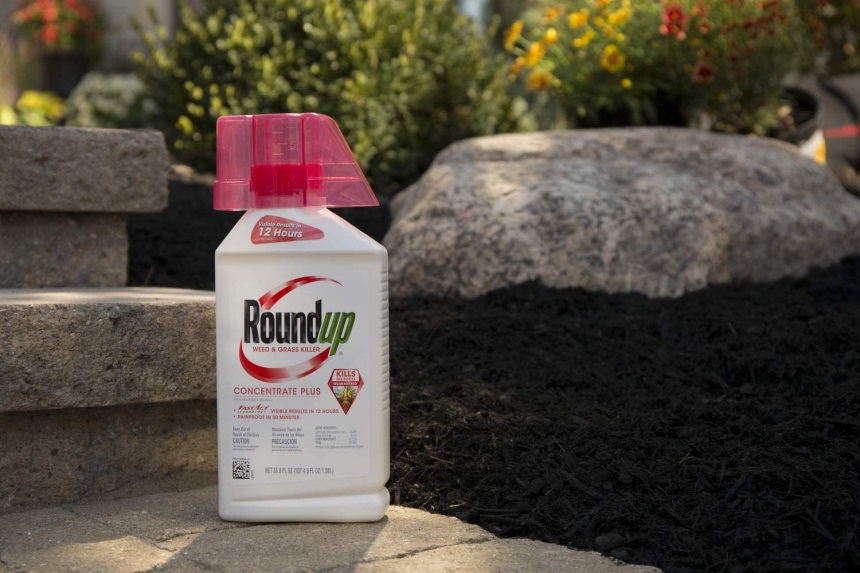 8 Best Weed Killers for Perfect Lawn and Yard