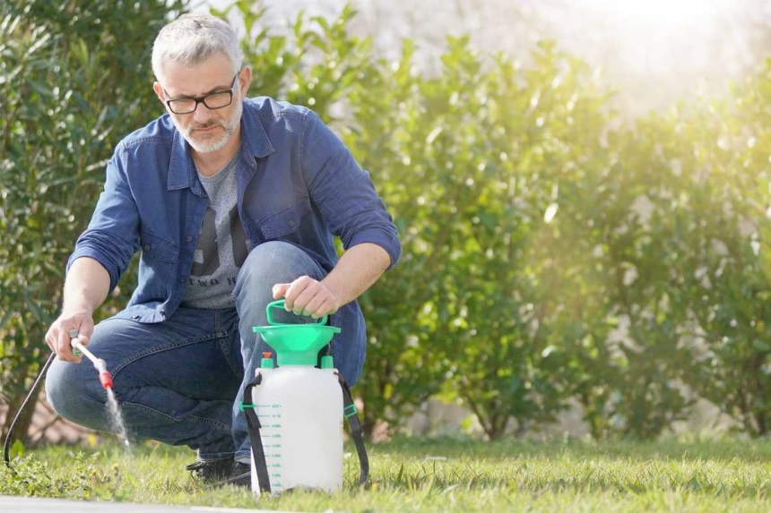 8 Best Weed Killers for Perfect Lawn and Yard