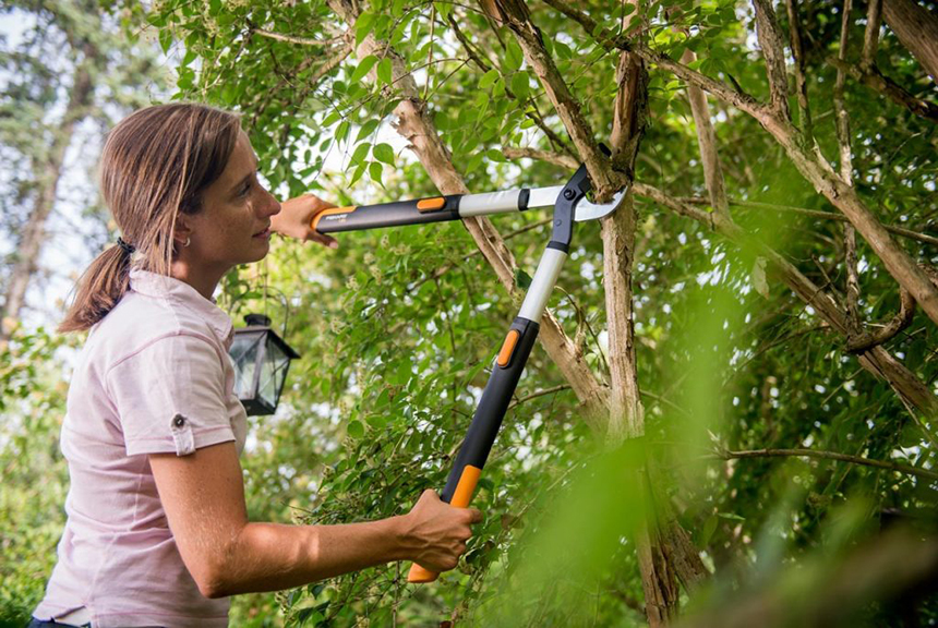 10 Best Loppers - Remove any Branches Effortlessly! (Spring 2022)