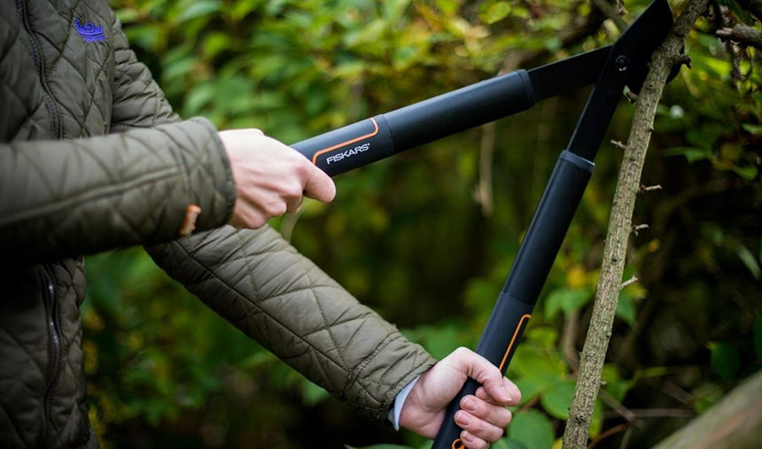 10 Best Loppers - Remove any Branches Effortlessly!