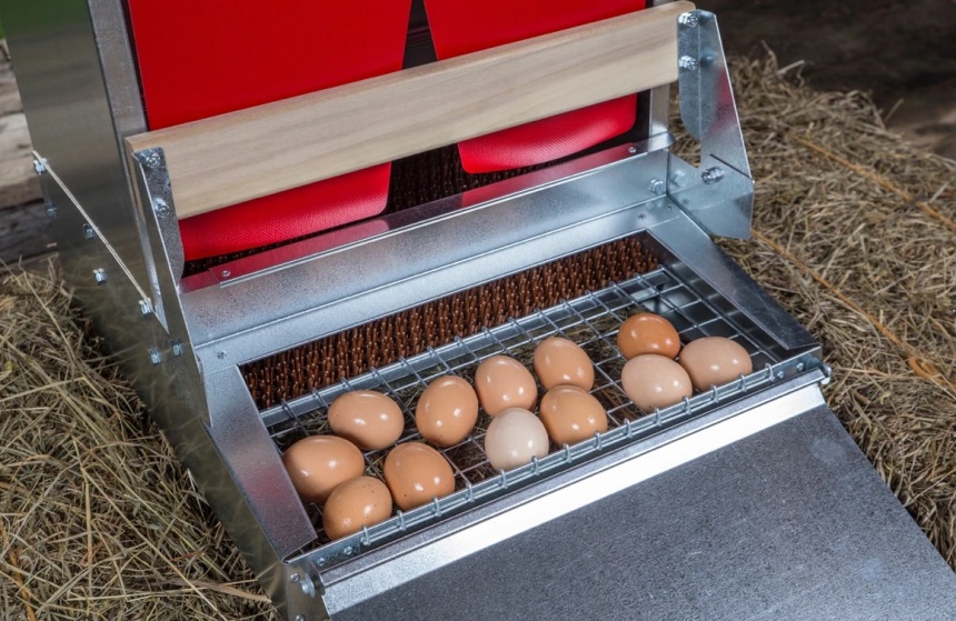 7 Best Chicken Nesting Boxes - Your Way To Clean And Unbroken Eggs