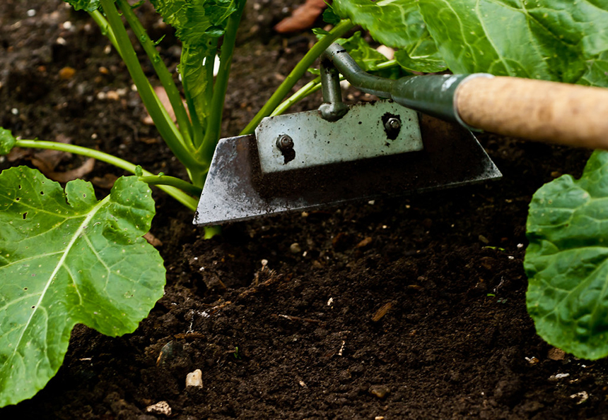 10 Best Garden Hoes Versatile – Tools for Everyone's Needs! (Spring 2022)