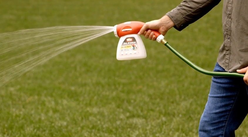 12 Best Weed Killers for Lawns - Just Grass And Nothing Else!