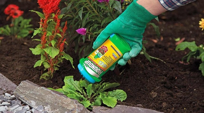 10 Best Weed Killers for Flower Beds - Make Your Garden Look Beautiful!