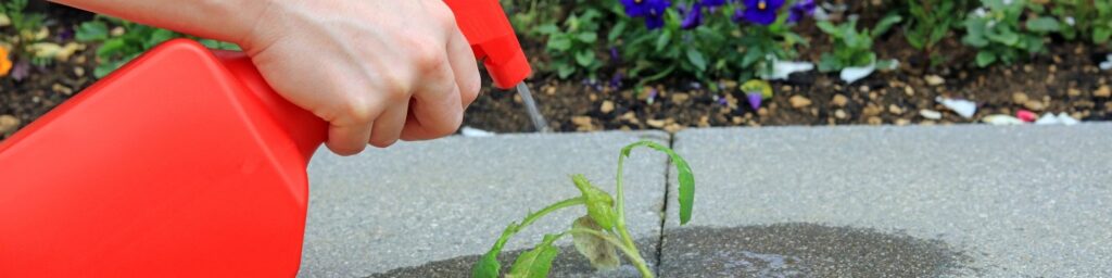 10 Best Weed Killers for Flower Beds - Make Your Garden Look Beautiful!
