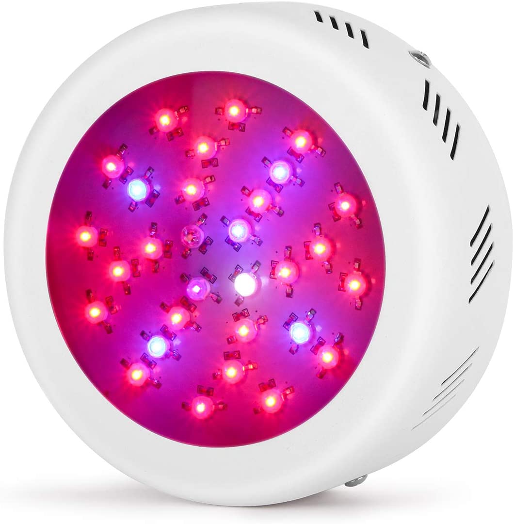 Roledro LED Grow Lights 