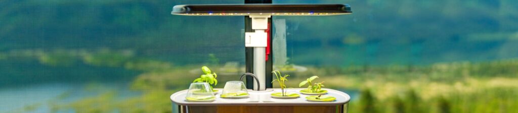 6 Best AeroGarden Models – Elegant Devices for Home Garden Hobbyists!