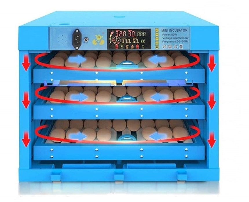 5 Best Cabinet Incubators – Optimal Conditions for High Hatching Rate! (Fall 2022)