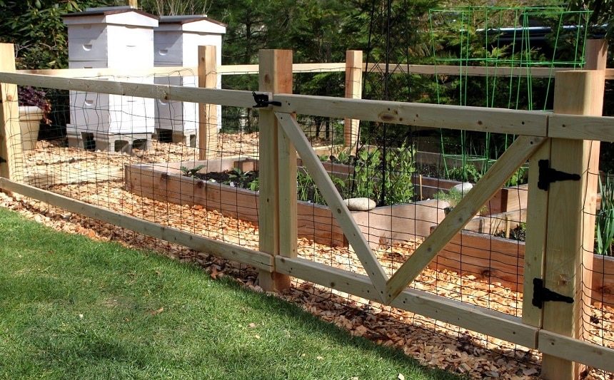 8 Best Chicken Fencings – Protect Your Poultry from Predators! (Spring 2022)