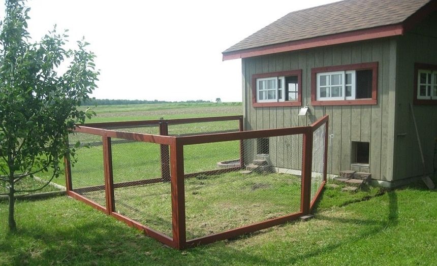 8 Best Chicken Fencings – Protect Your Poultry from Predators! (Spring 2022)