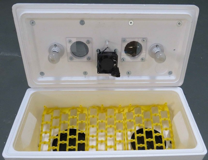 5 Best Quail Egg Incubators - No Further Worries About Hatching