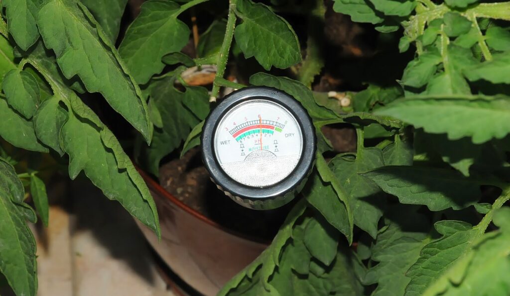 8 Great Soil PH Testers for the Best Accuracy and Versatility