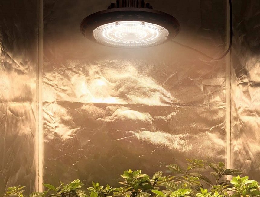 10 Best UFO LED Grow Lights – Make Your Own Indoor Garden! (Spring 2022)