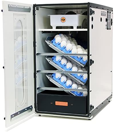 Digital Sportsman Cabinet Incubator 1502