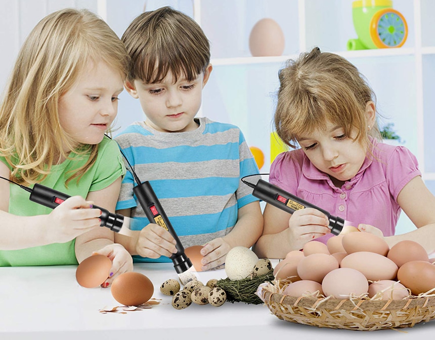 5 Best Egg Candlers - Hatching Under Control