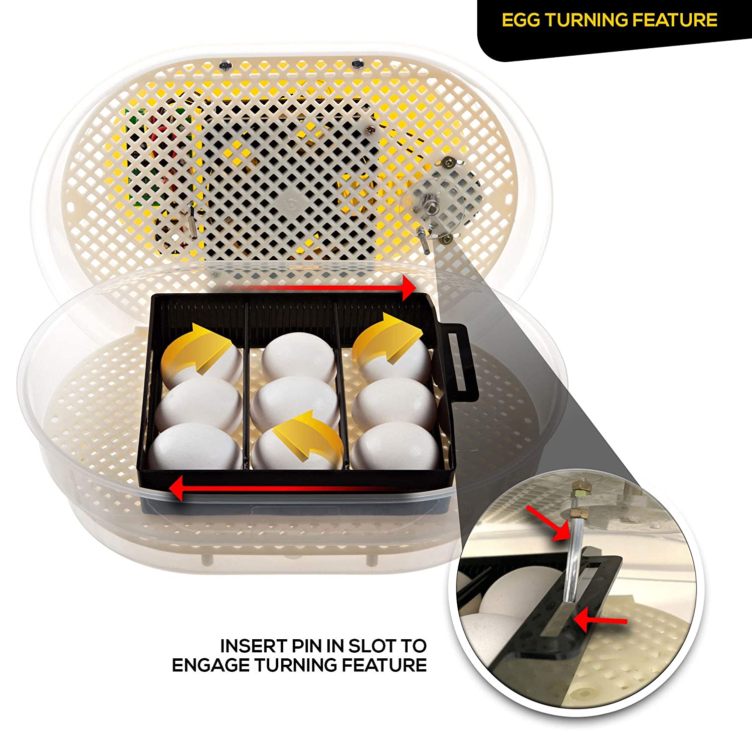 Best egg incubator in kenya