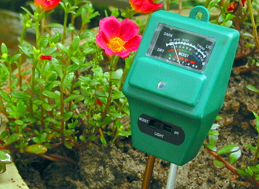 8 Great Soil PH Testers for the Best Accuracy and Versatility