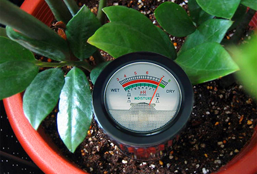 8 Great Soil PH Testers for the Best Accuracy and Versatility