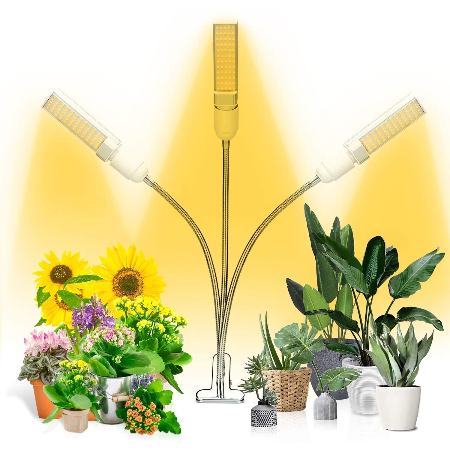 Ankace Full Spectrum Grow Lamp