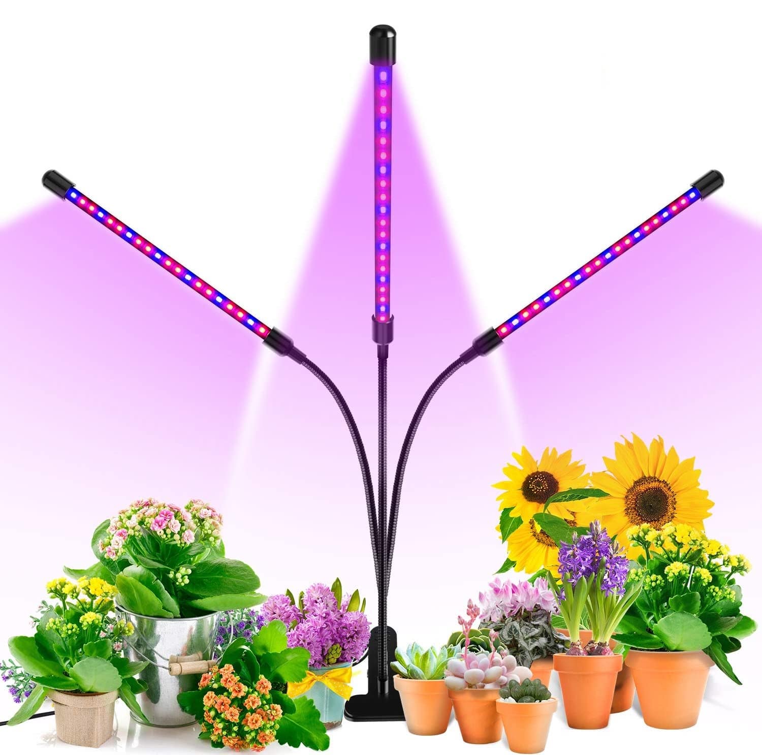 Ankace Tri Head Grow Light