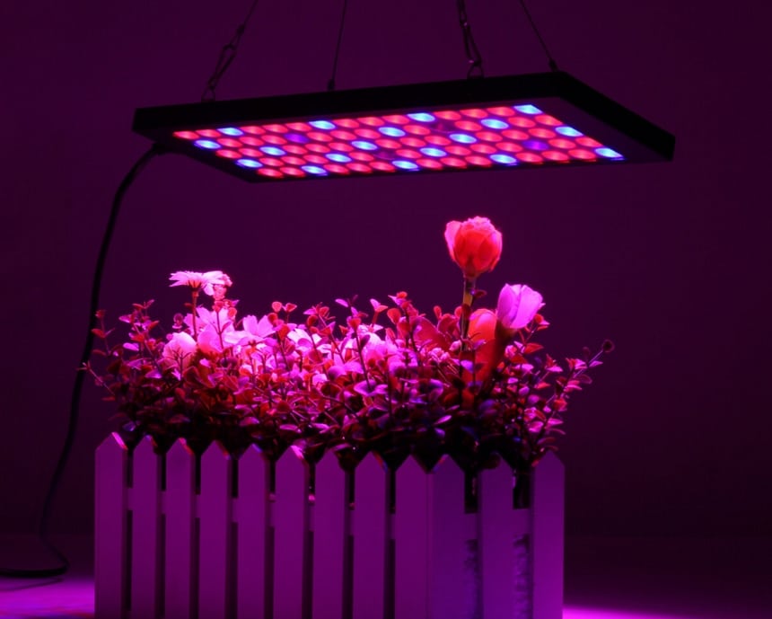 8 Best 1000-Watt LED Grow Lights to Maximize Growth Rate