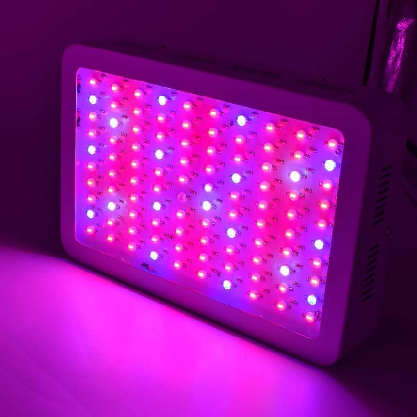 8 Best 1000-Watt LED Grow Lights to Maximize Growth Rate