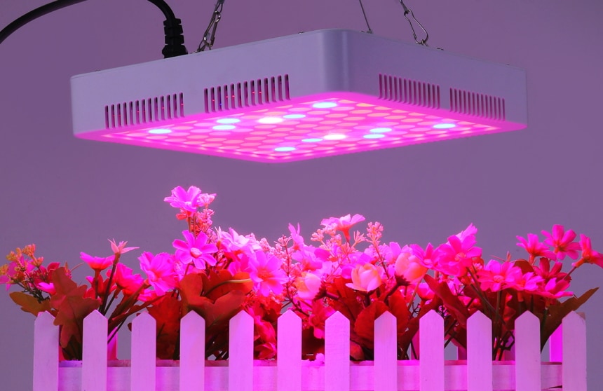 8 Best Full Spectrum LED Grow Lights for All Stages of Growth