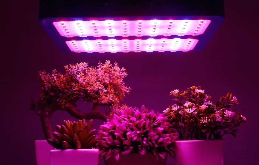 8 Best Full Spectrum LED Grow Lights for All Stages of Growth