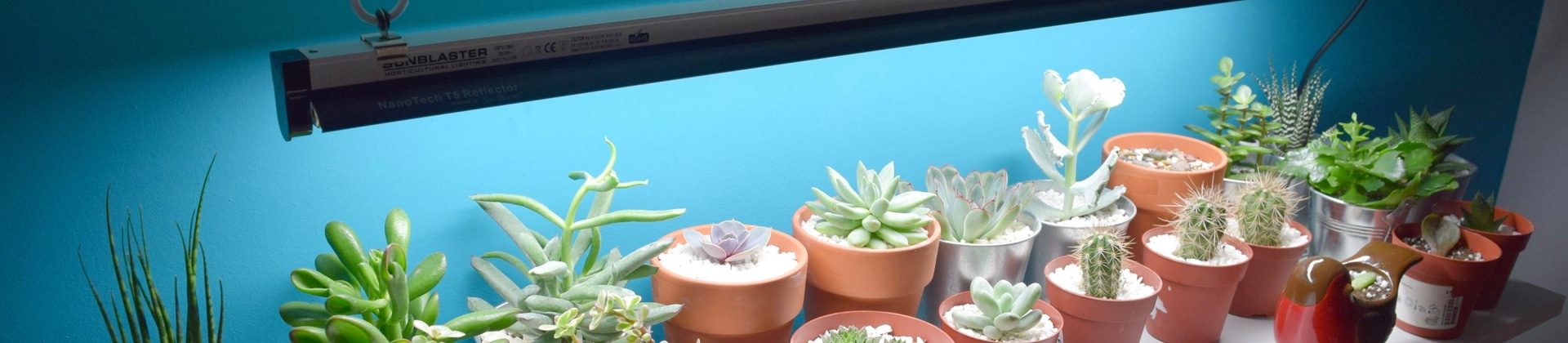 best affordable grow lights for seedlings best affordable grow lights for seedlings