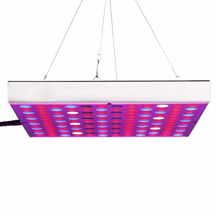 GARSCEN YORC LED Grow Light Panel