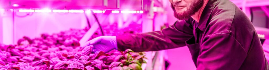 11 Best Grow Lights for Vegetables – Smart Way to Increase Your Harvest!