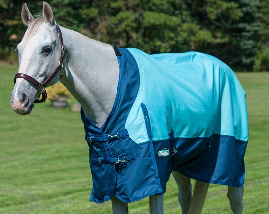 6 Best Horse Blankets - No More Trouble No Matter The Weather (Spring 2022)