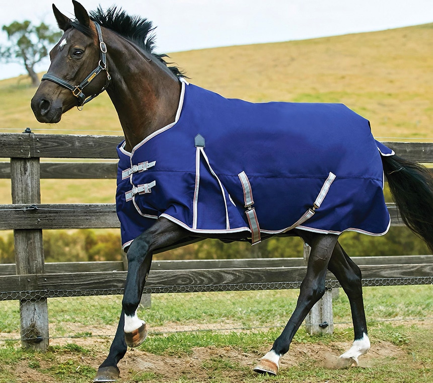 6 Best Horse Blankets - No More Trouble No Matter The Weather