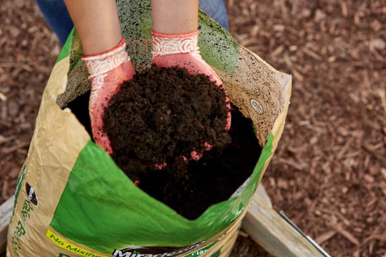 5 Best Soils for Raised Beds Reviewed (Winter 2023)