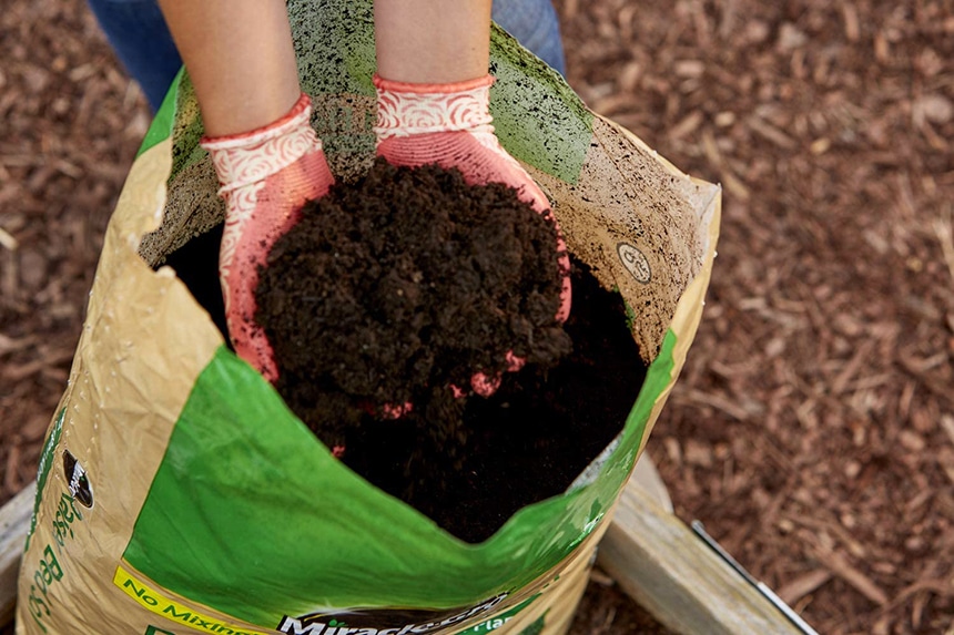 5 Best Soils for Raised Beds - Aid For Your Garden