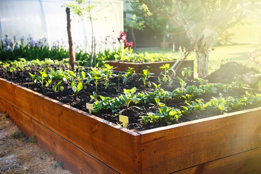 5 Best Soils for Raised Beds - Aid For Your Garden