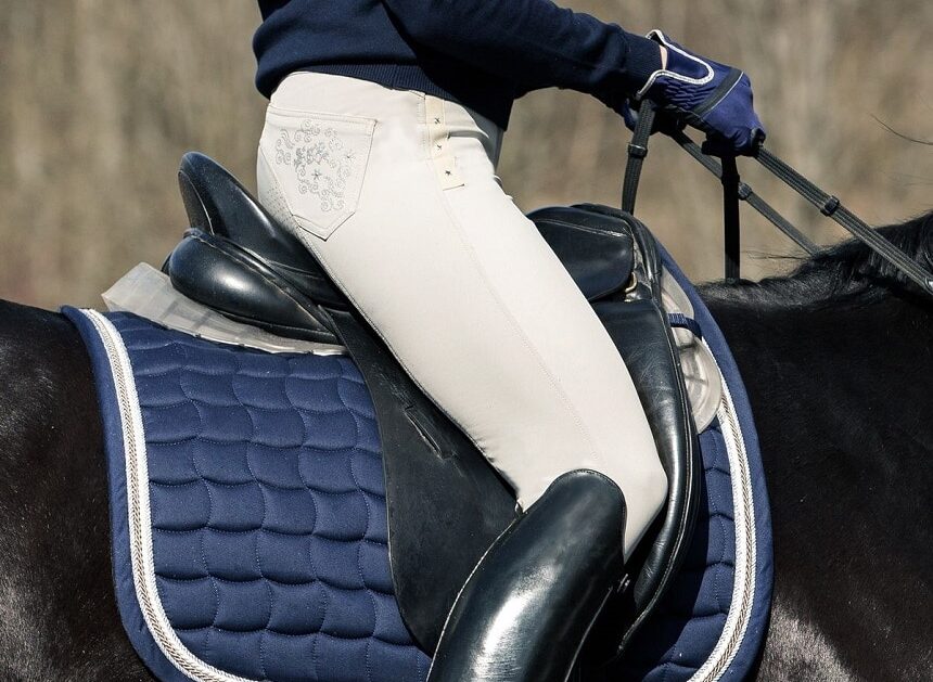 5 Best Dressage Saddles for Enhanced Comfort and Optimal Riding Performance