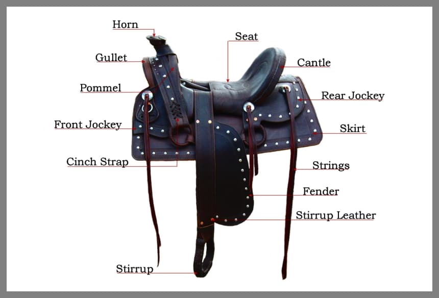 5 Best Ranch Saddles - Work Done With No Discomfort