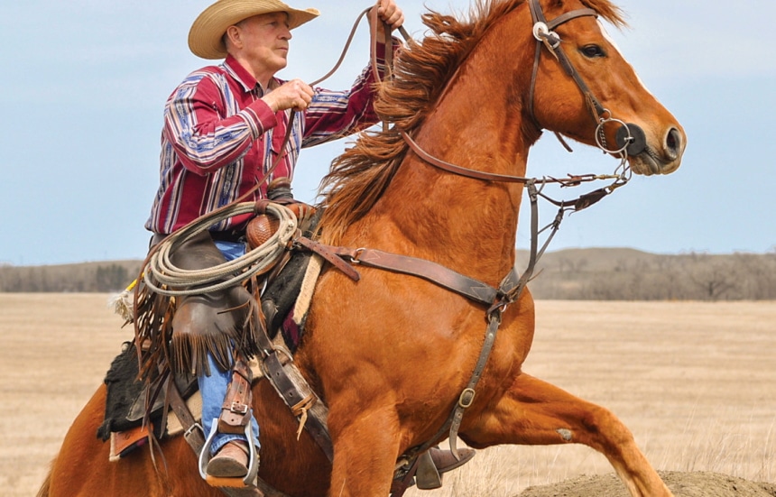 5 Best Ranch Saddles - Work Done With No Discomfort