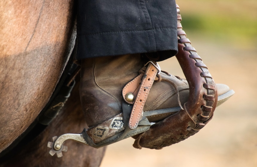 5 Best Ranch Saddles - Work Done With No Discomfort (Spring 2022)
