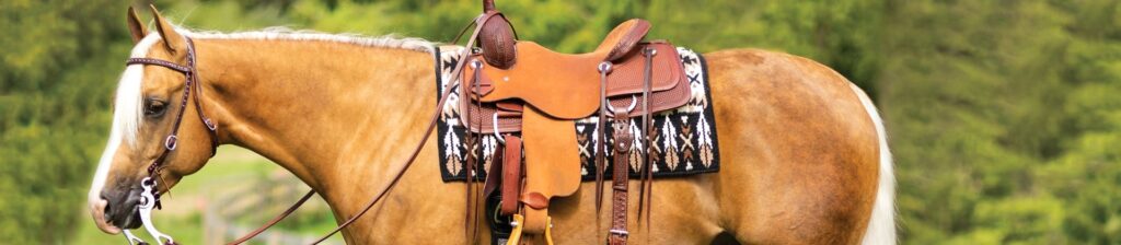 5 Best Ranch Saddles - Work Done With No Discomfort (Summer 2023)