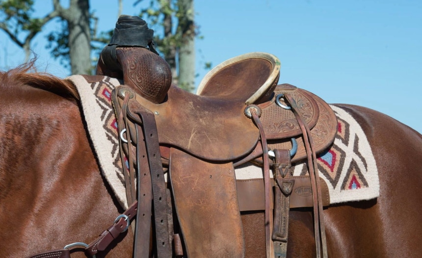 8 Best Western Saddles - Riding in the Old West Style (Spring 2022)