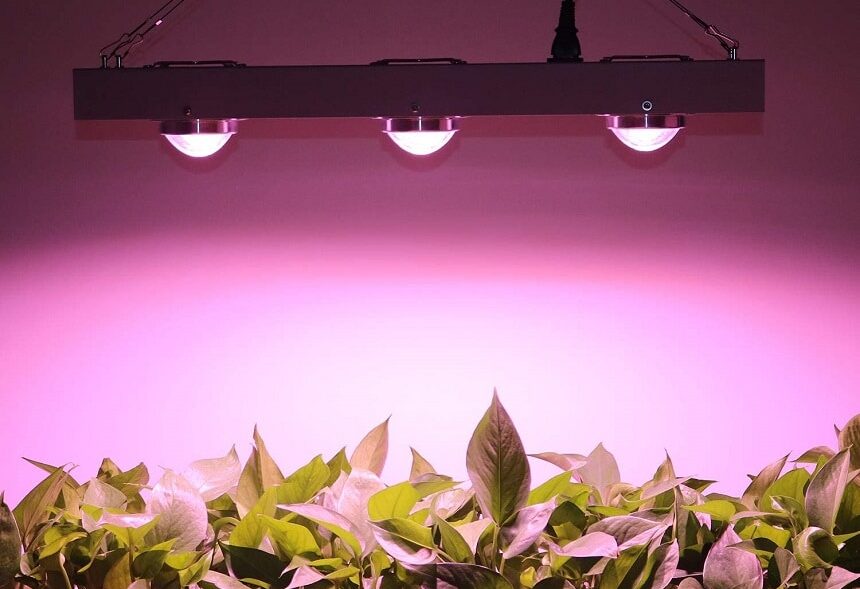 10 Best COB LED Grow Lights - Even More Efficient Growth