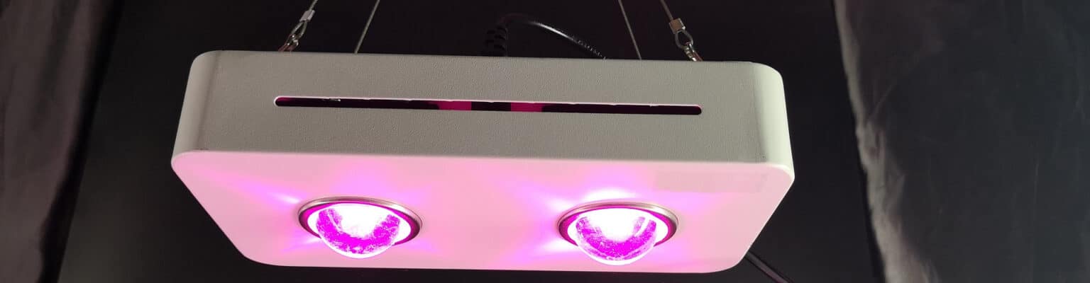 best affordable grow lights for seedlings best affordable grow lights for seedlings