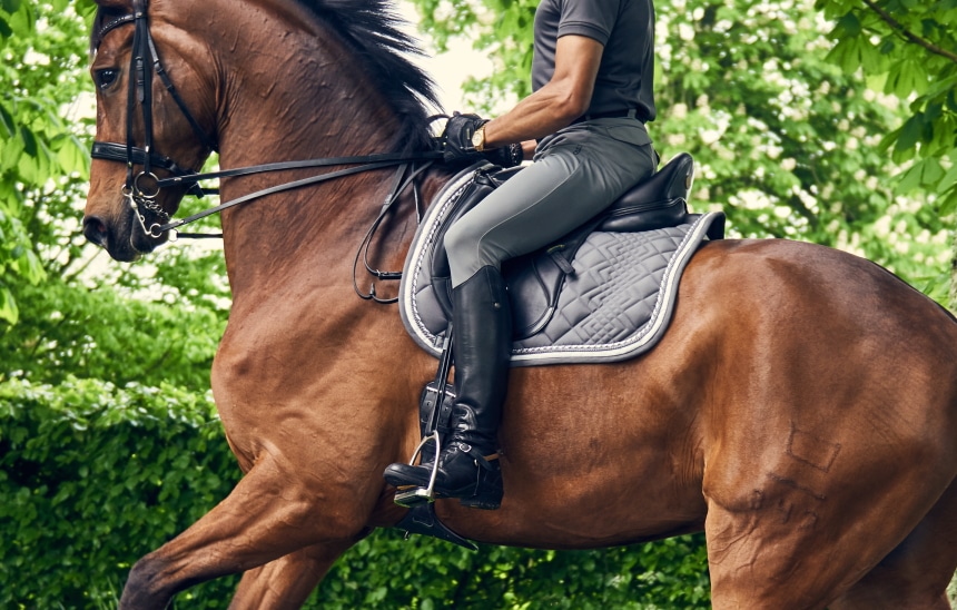 8 Best Dressage Boots – Proper Equipment to Enjoy Horseriding! (Fall 2022)