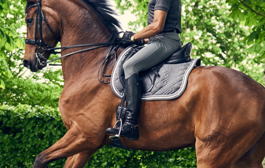 8 Best Dressage Boots – Proper Equipment to Enjoy Horseriding!