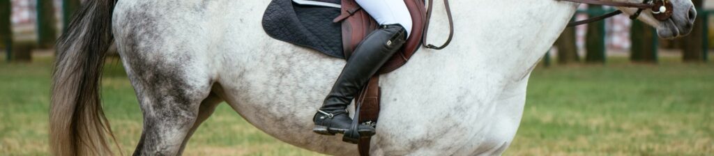 8 Best Dressage Boots – Proper Equipment to Enjoy Horseriding!