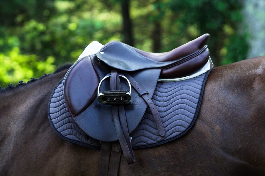 5 Best Horse Saddles - All You Need for Comfort (2023)