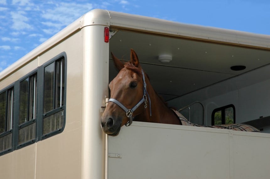 6 Best Horse Trailer Cameras – Ensure Safety of Your Horses!